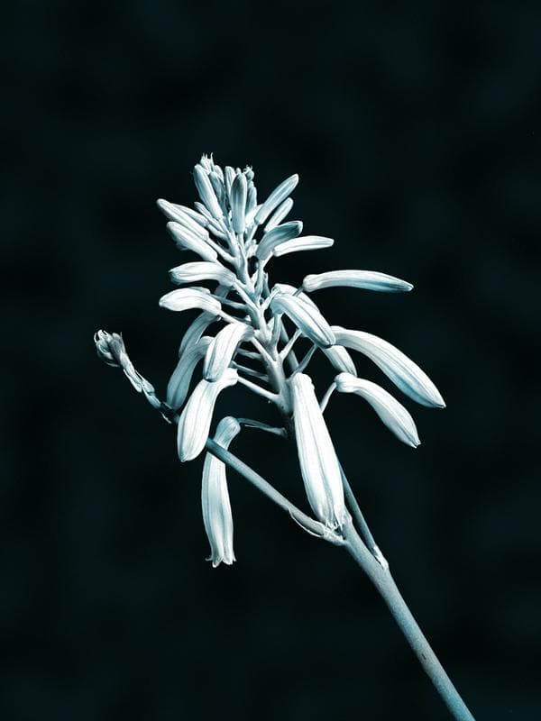 ST3CH69RQ9FWCHSKMWG7J5TQCNADRDPX43M9AS35Z